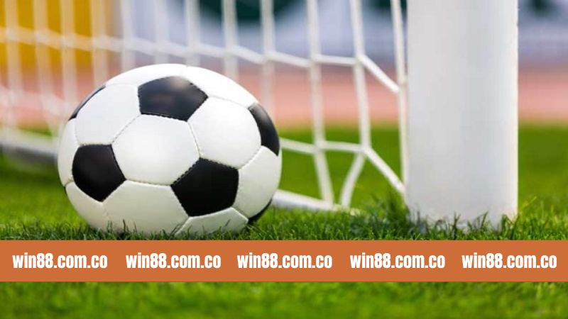 Bí Quyết Soi Kèo Ma Cau Hiệu Quả Từ Cao Thủ Nhà Cái Win88